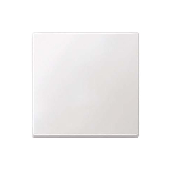 Merten Wippe pws 434119
