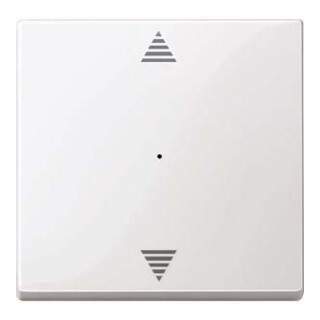 Merten Wippe pws/gl 1f,Pfeile,Syst.M MEG5215-0319