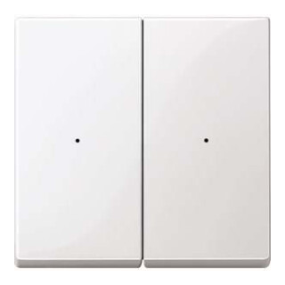 Merten Wippe pws/gl 2fach,Syst.M MEG5220-0319