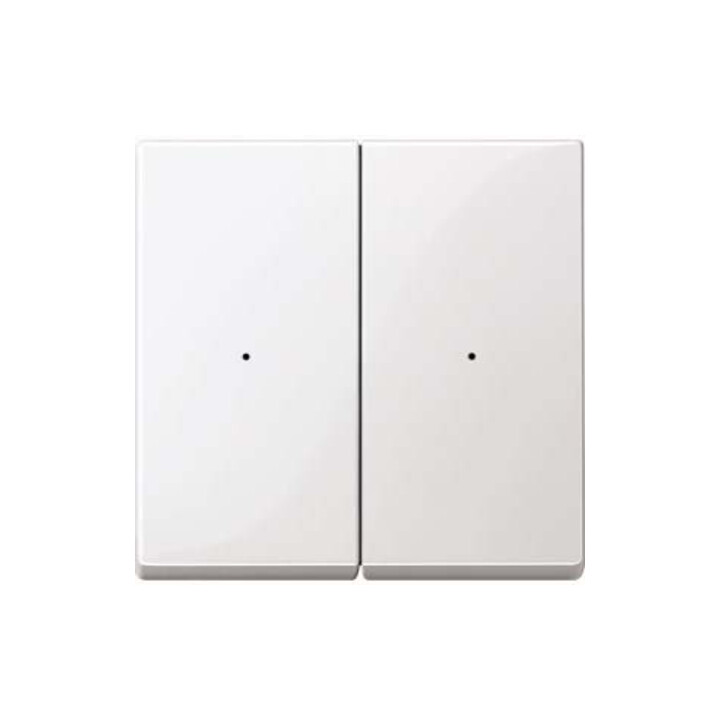 Merten Wippe pws/gl 2fach,Syst.M MEG5220-0319