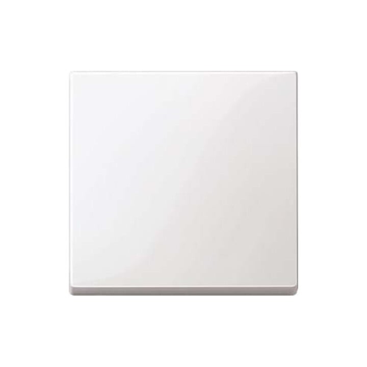 Merten Wippe pws/gl 432119