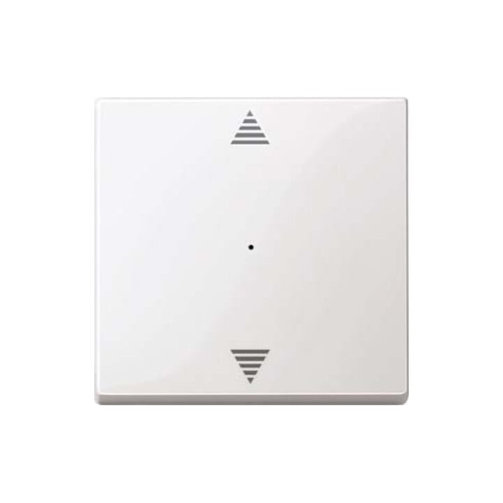 Merten Wippe pws/gl für Tastermodul 1f. 619419