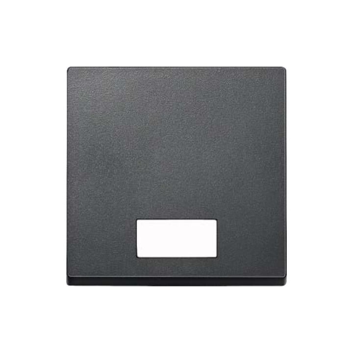 Merten Wippe Symbol Fenster anth rechteckig 433814