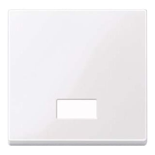 Merten Wippe Symbol Fenster awsgl rechteckig 432825