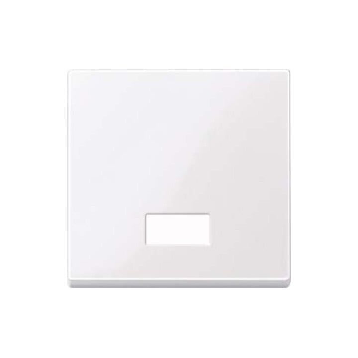 Merten Wippe Symbol Fenster awsgl rechteckig 432825