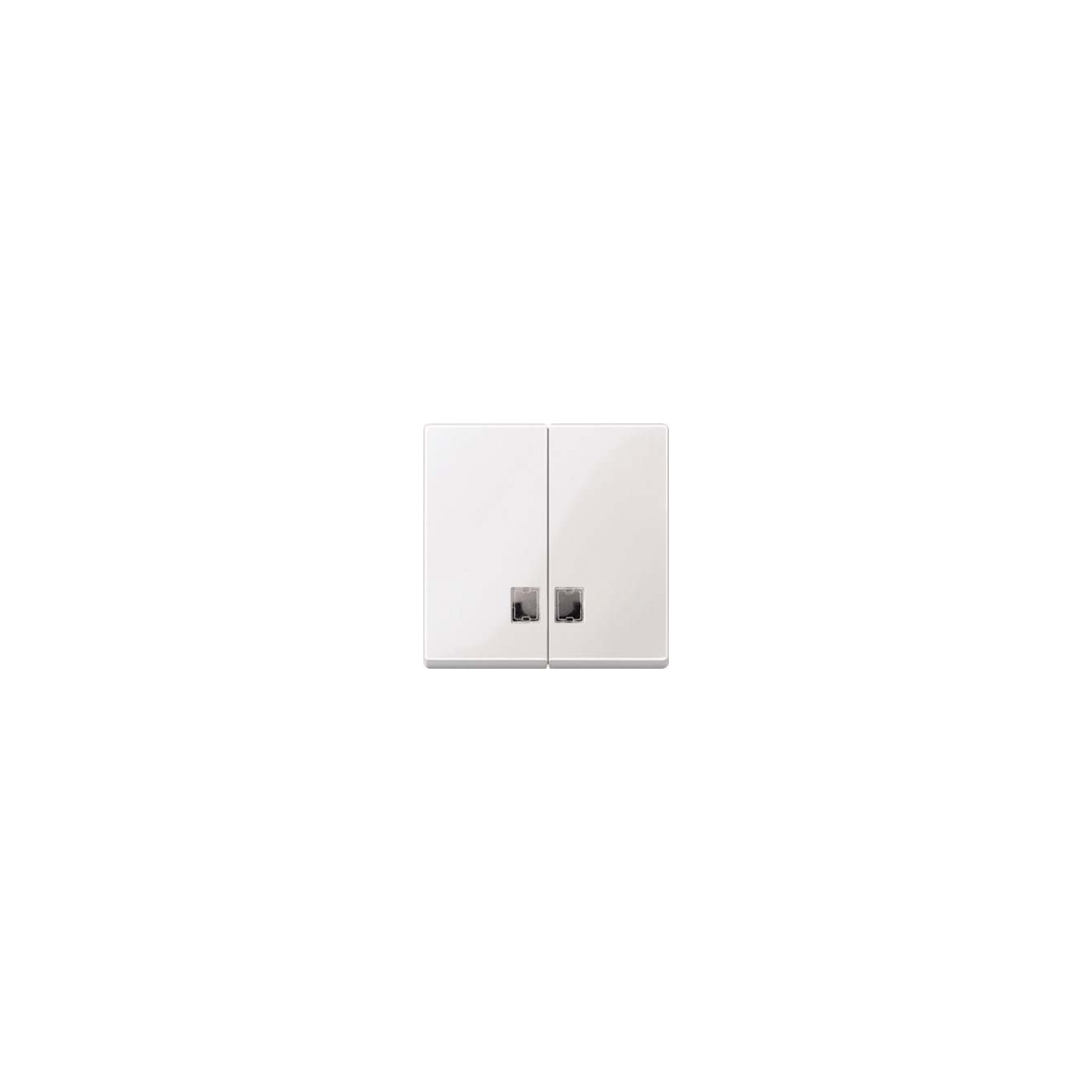 Merten Wippe Symbol Fenster pws für Serienschalter 438519