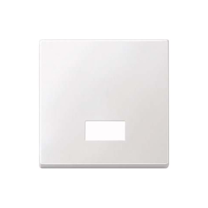 Merten Wippe Symbol Fenster pws rechteckig 433819
