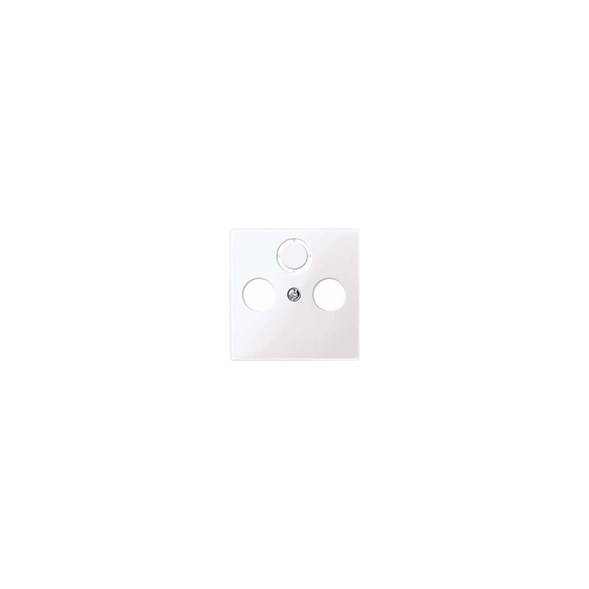 Merten Zentralplatte aws/gl für Antennendose 296725