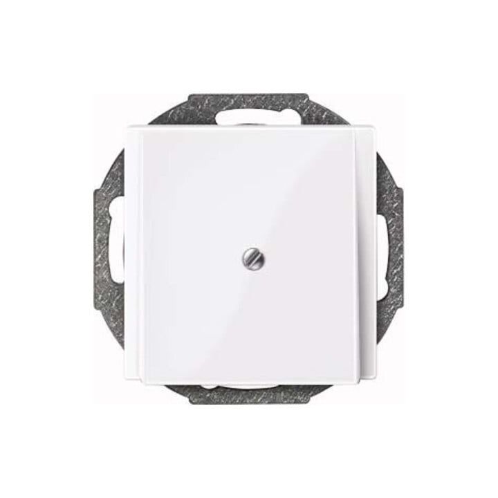 Merten Zentralplatte aws/gl Leitungsauslass 296325