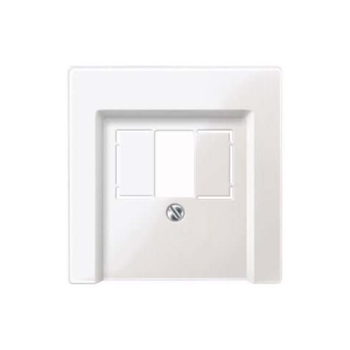 Merten Zentralplatte pws/gl für Anschlussdose 296019