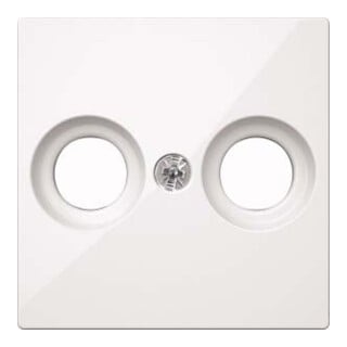 Merten Zentralplatte pws/gl für Antennendose MEG4122-0319