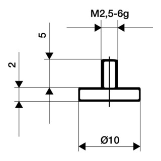 Messeinsatz D.20mm plan M2,5 STA f. Messuhren Käfer