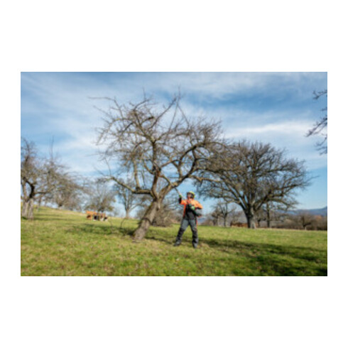 Metabo Hochentaster-Aufsatz MA-MS 25 Karton