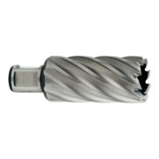 Metabo HSS-Kernbohrer 20x55 mm, Weldonschaft 19 mm (3/4")