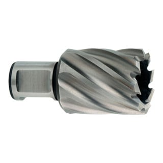 Metabo HSS-Kernbohrer 32x30 mm, Weldonschaft 19 mm (3/4")