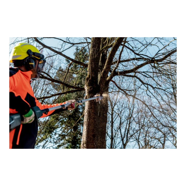 Metabo Rallonge pour ébrancheur MA-MS 25 Carton