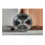 Metabo Set: Disco da taglio diamantato, UP-3