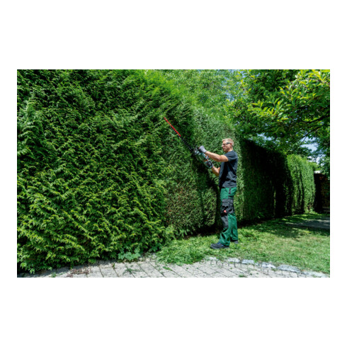 Metabo Taille-haie sans fil HS 18 LTX BL 65 Carton