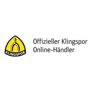 KLINGSPOR Meule d'&eacute;barbage  A 24 N 125 x 6 x 22,23 mm coud&eacute;es