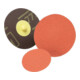 Meule Roloc 3M 777F 120-1