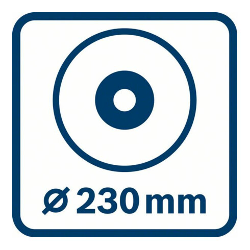 Meuleuse angulaire Bosch GWS 2200 P