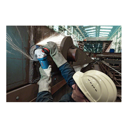 Meuleuse d'angle Bosch GWS 15-125 CIEPX