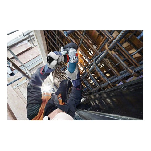 Meuleuse d'angle Bosch GWS 15-125 CIEPX