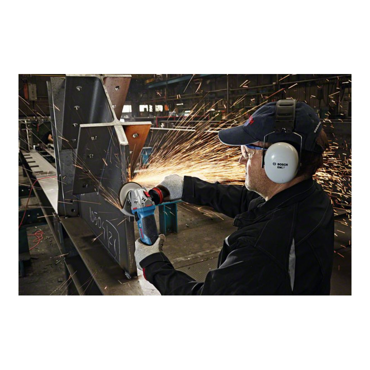 Meuleuse d'angle Bosch GWS 19-125 CIE