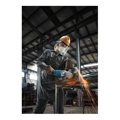 Meuleuse d'angle Bosch GWS 24-230 P