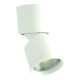 Miniatur Spot WEE, ws. 1,5W, WT 2000mm, LED-St.-1