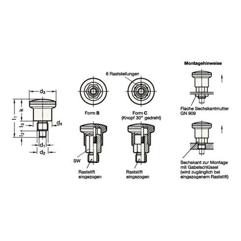 Miniraster GN 822.6 d1 5mm d2 M 10mm m. Rastsperre Ganter