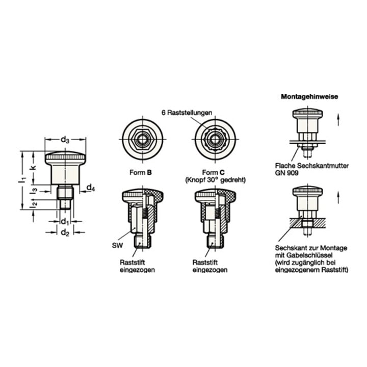 Miniraster GN 822.6 d1 6mm d2 M 10mm m. Rastsperre Ganter