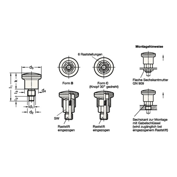 Miniraster GN 822.6 d1 6mm d2 M 12mm m. Rastsperre Ganter