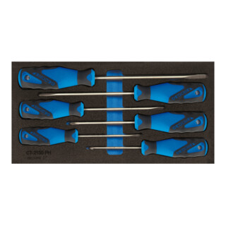 Module à outils 1500 CT1-2150 PZ T310xl157,5mm 6pces tournevis avec manche à 3 c
