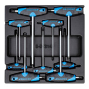 Module avec assortiment-1