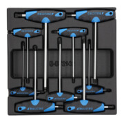 Module avec assortiment-2