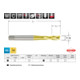 Module Taraud machine hélicoïdal DIN 371 / 376 HSS + HSS Co 5 + HSS-TiN rectifié, forme C / 35° RSP en Quadro Pack-5