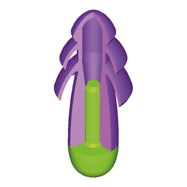 Moldex Bouchons d'oreille réutilisables Rockets, paire en PocketPak SNR 30 dB