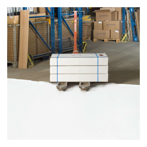Moravia Hallenmarkierfarbe PROline-paint 5 l weiß RAL 9016