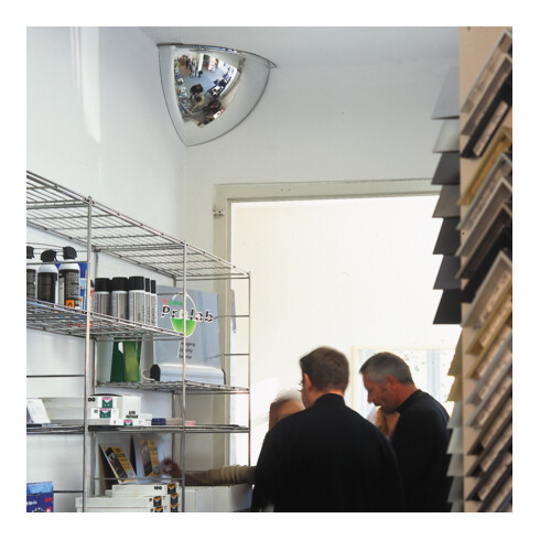 Moravia Miroir sphérique en acrylique miroir 2 voies 490 × 490 × 400 mm 90°