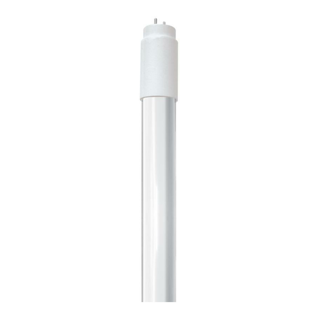 MÜLLER LICHT LED Röhre 18W 220-240V G13 1800lm 150G 6500K 1200mm Müller-Licht
