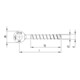 MULTI-MONTI-plus R 6,0 x 40, ancre à oeillet, embout de vissage, A2K, 200 pcs. (MMS-plus-R-6,0x40)-3