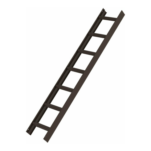 MUNK Dachleiter braun