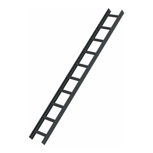 MUNK Dachleiter anthrazit-grau 10 Sprossen