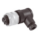 murrelektronik Buchse gewinkelt 7/8 7000-78261-0000000