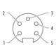 murrelektronik Buchse gewinkelt 7/8 7000-78261-0000000