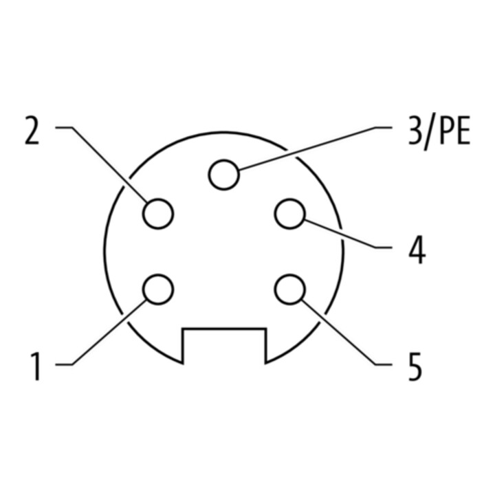 murrelektronik Buchse gewinkelt 7/8 7000-78261-0000000