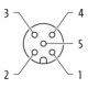 murrelektronik Buchse M12 gerade 7000-13401-0000000