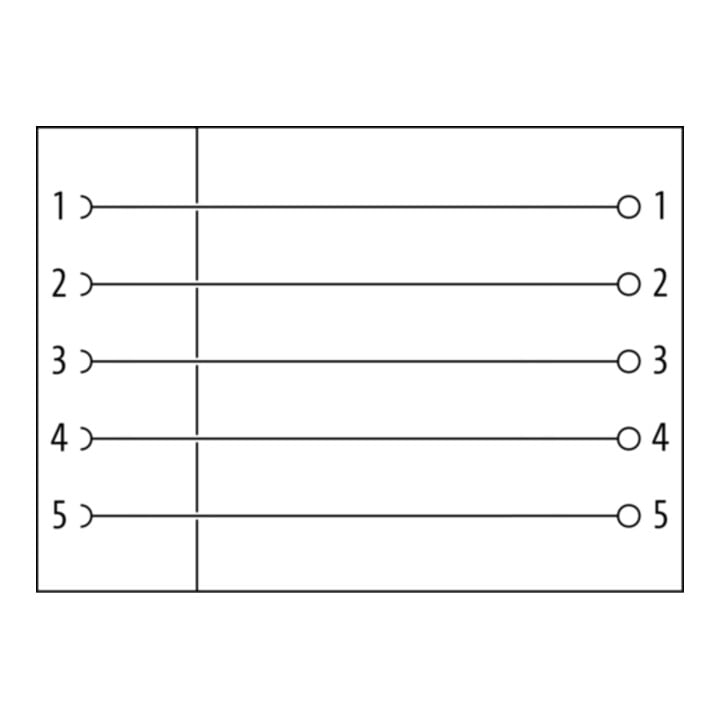 Murrelektronik M12 Buchse gerade 7000-12961-0000000
