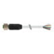 murrelektronik M12 Rundsteckverbinder PUR-OB 8x0,25 grau